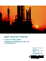 Eagle Quantum Premier